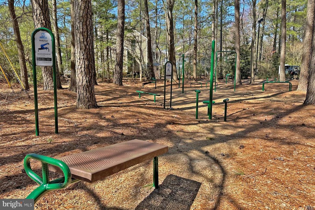 Backyard, Exterior, Playground