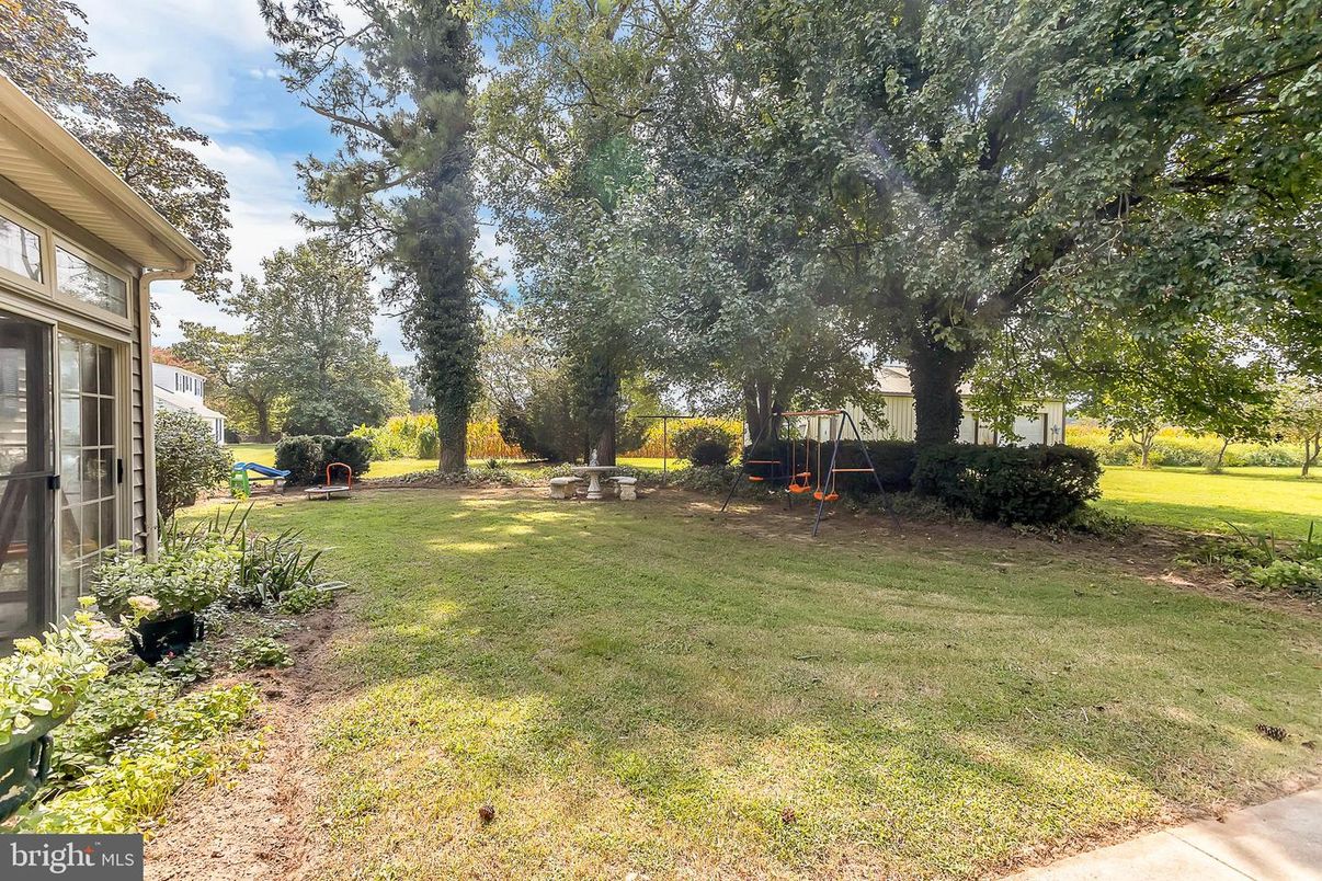 Backyard, Exterior, Playground