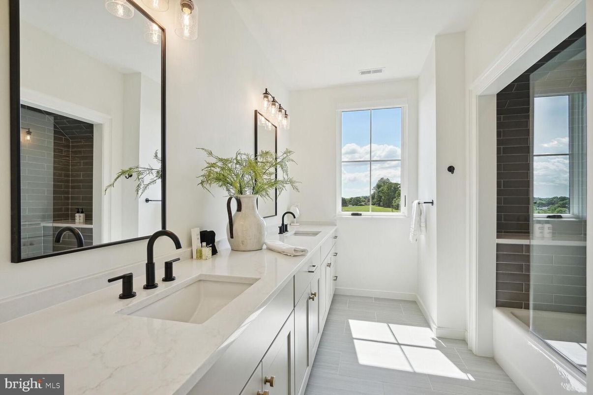 Bathroom, Dual Sink Vanities, Interior, Wood Texture Flooring