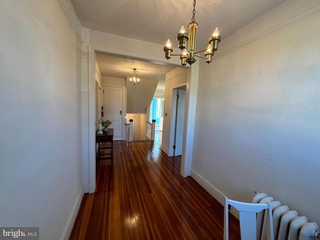 Chandelier, Interior, Wood Texture Flooring