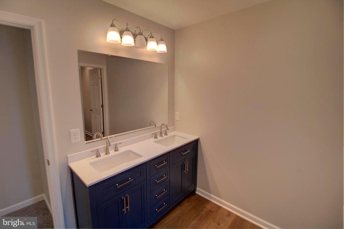 Bathroom, Dual Sink Vanities, Interior, Wood Texture Flooring