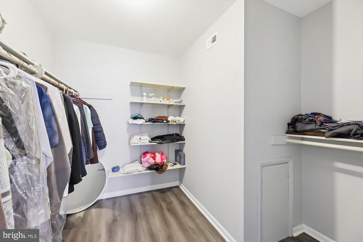 Interior, Walk-in Closets, Wood Texture Flooring