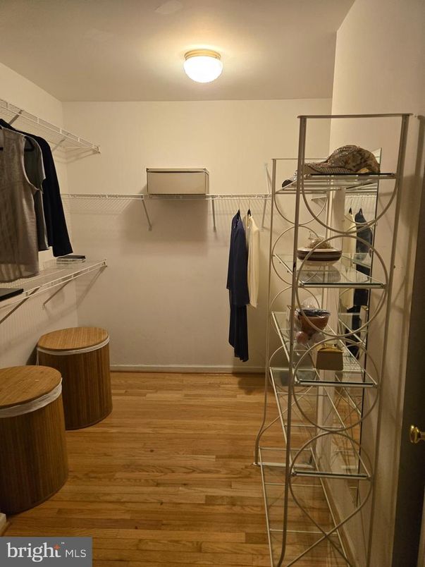 Interior, Walk-in Closets, Wood Texture Flooring