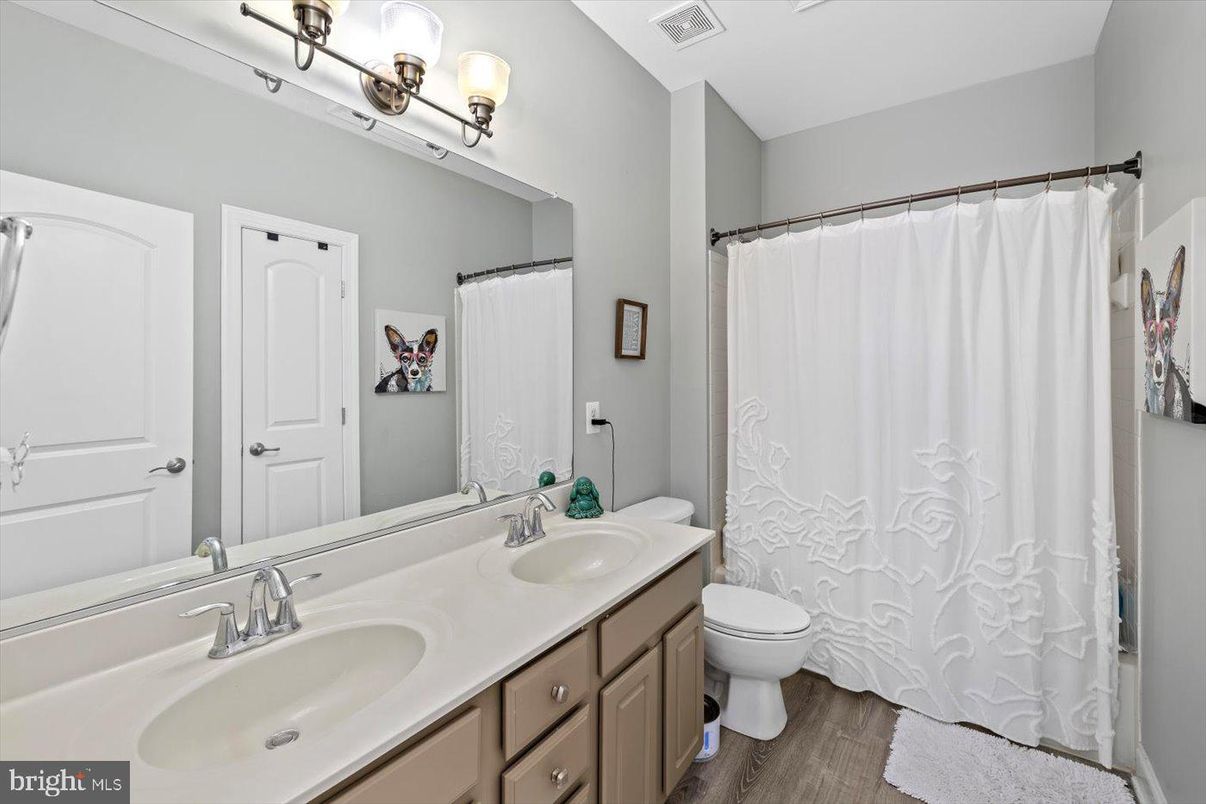 Bathroom, Dual Sink Vanities, Interior, Wood Texture Flooring