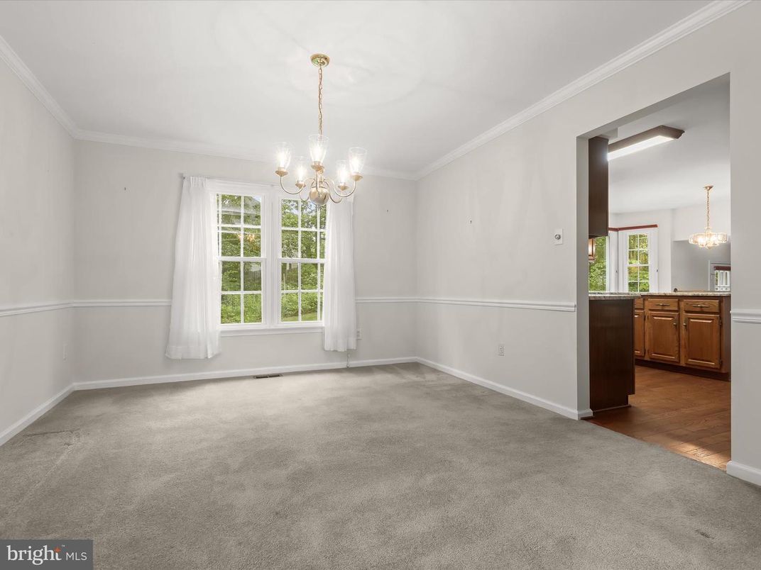 Chandelier, Empty room, Interior, Pendant Lights
