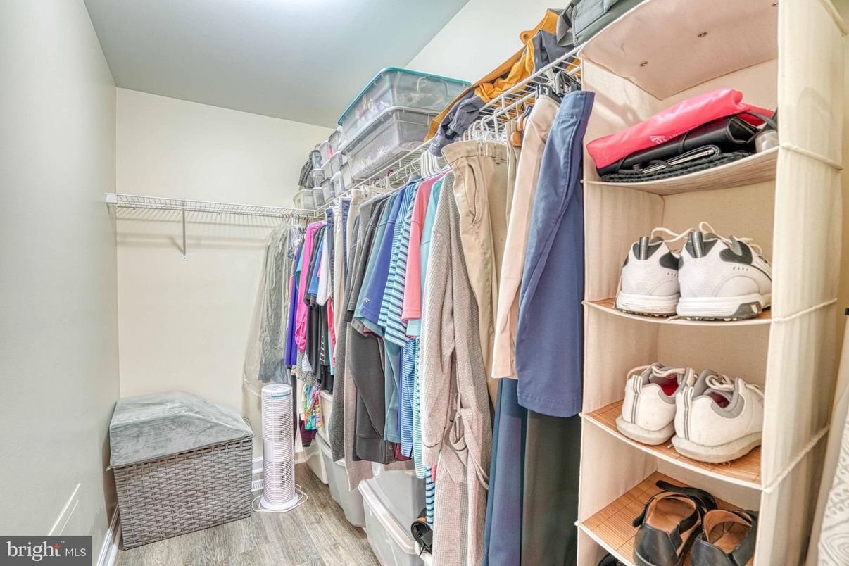 Interior, Walk-in Closets, Wood Texture Flooring