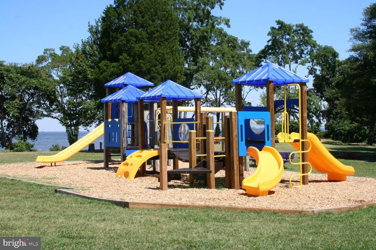 Backyard, Exterior, Playground