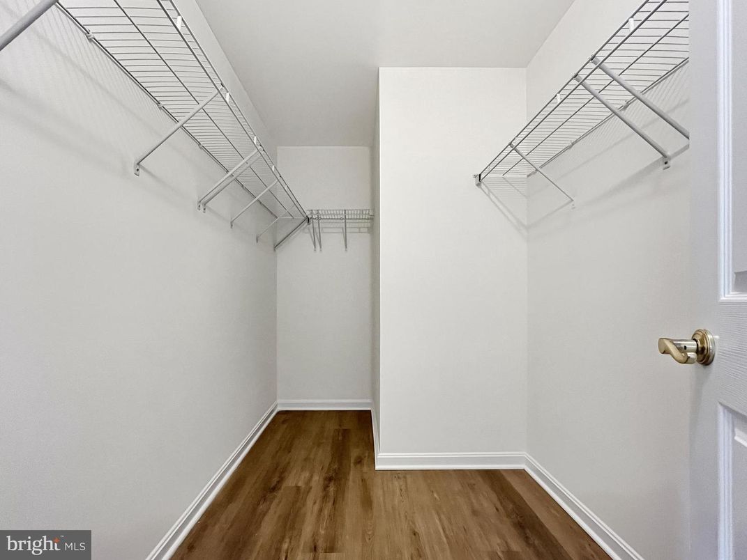 Interior, Walk-in Closets, Wood Texture Flooring