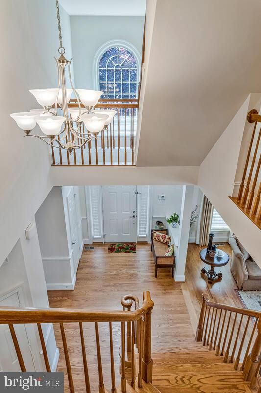Chandelier, Interior, Wood Texture Flooring