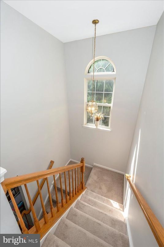 Interior, Pendant Lights