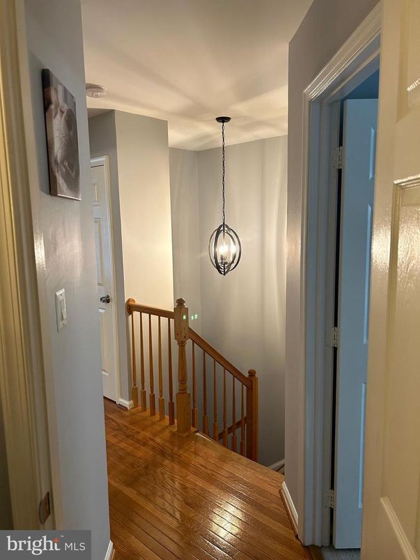 Interior, Pendant Lights, Wood Texture Flooring