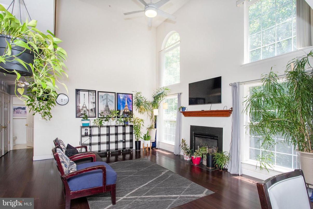 Fireplace, Interior, Wood Texture Flooring