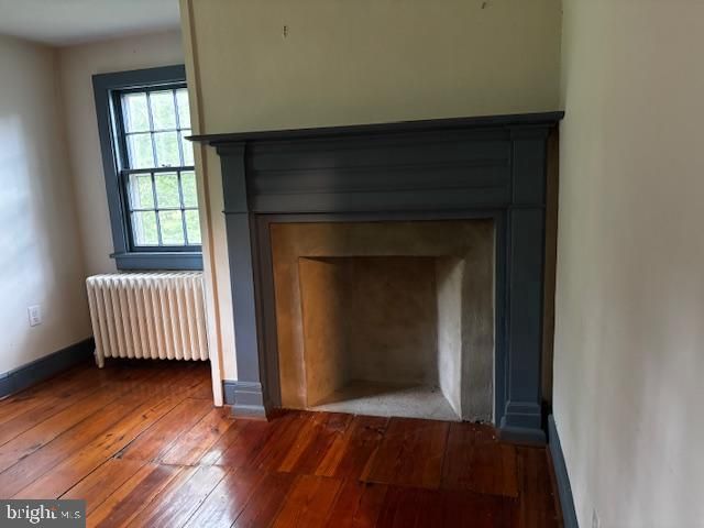 Fireplace, Interior, Wood Texture Flooring