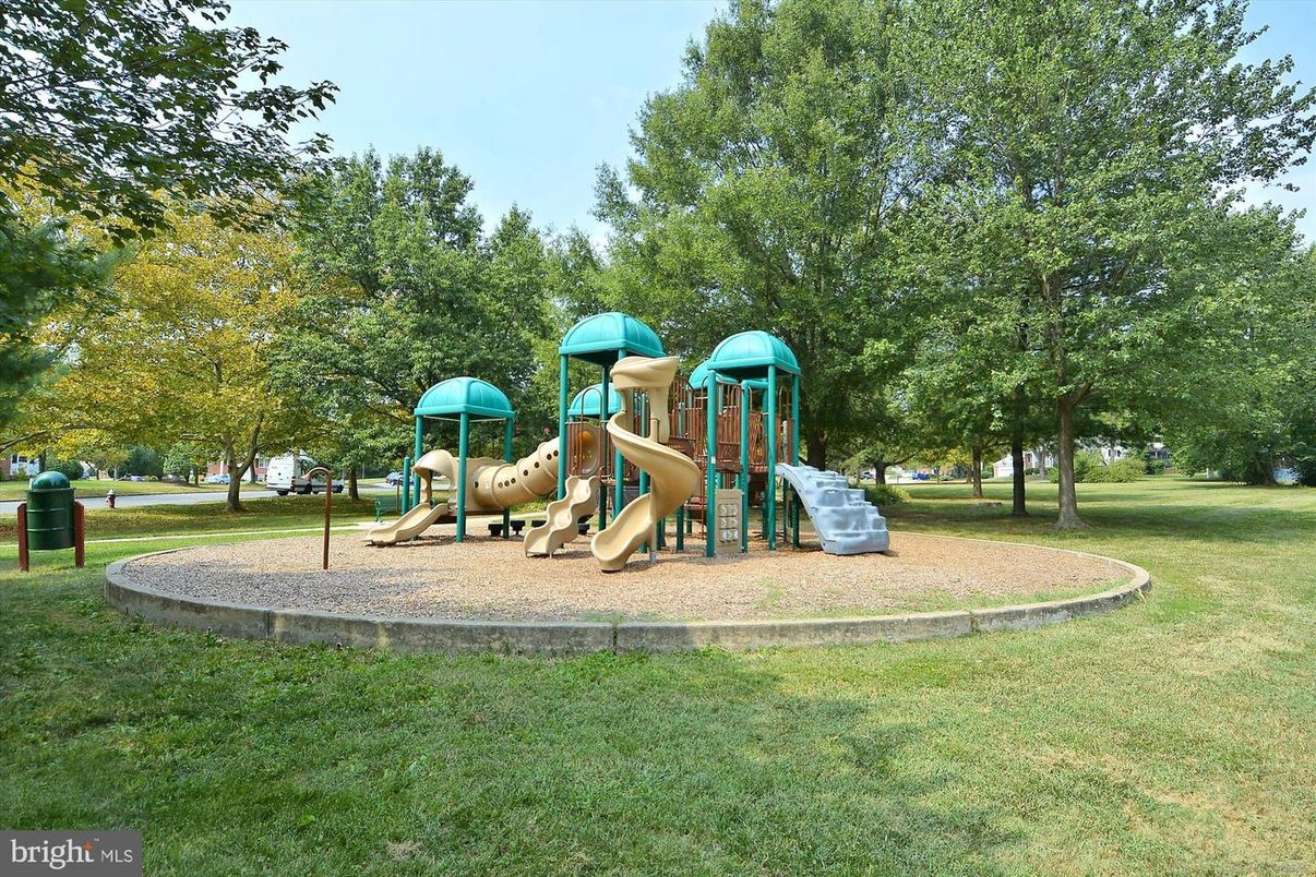 Backyard, Exterior, Playground