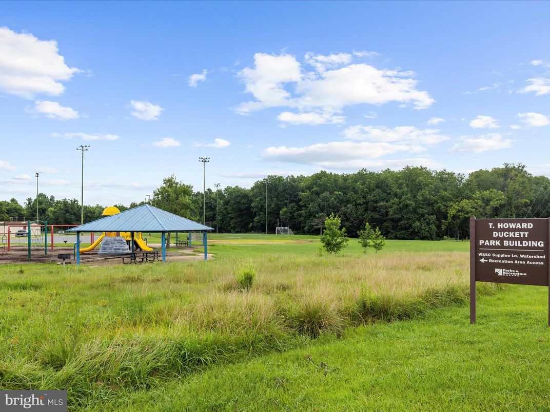 Backyard, Exterior, Playground