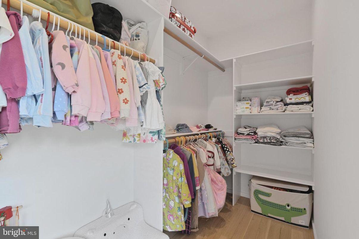 Interior, Walk-in Closets, Wood Texture Flooring