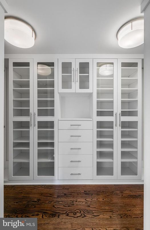 Interior, Walk-in Closets, Wood Texture Flooring