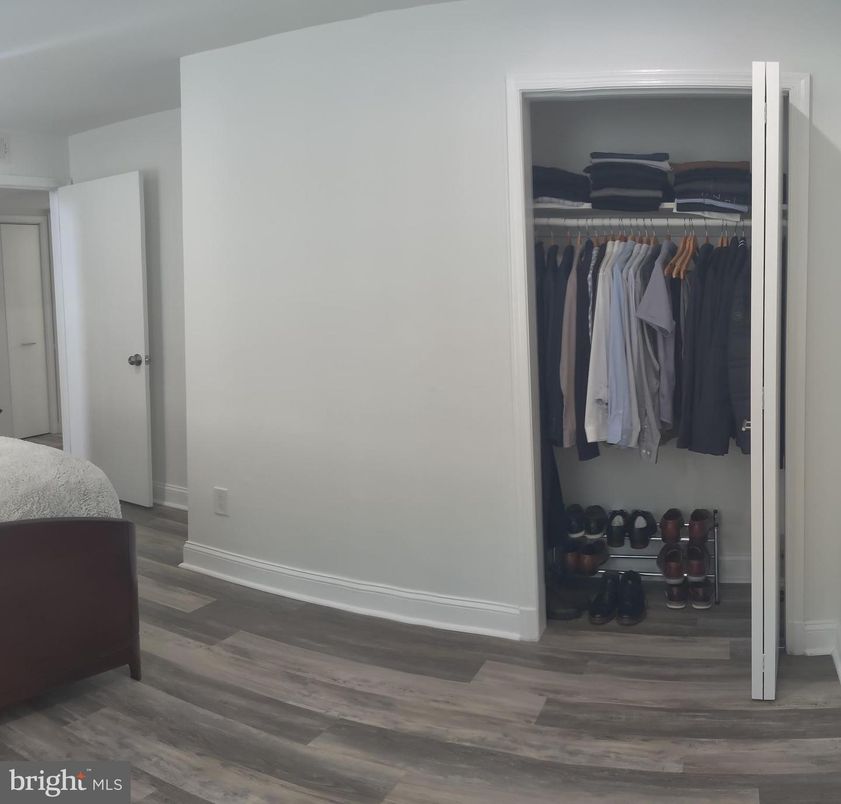 Interior, Walk-in Closets, Wood Texture Flooring