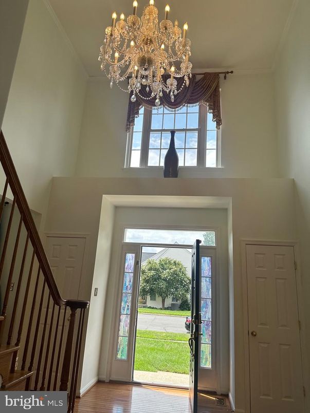 Chandelier, Interior, Wood Texture Flooring