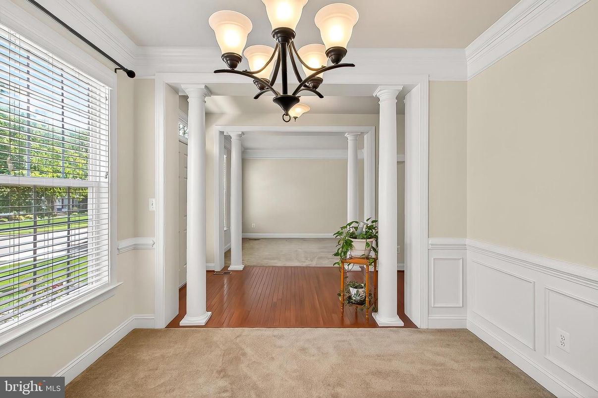 Chandelier, Interior, Wood Texture Flooring