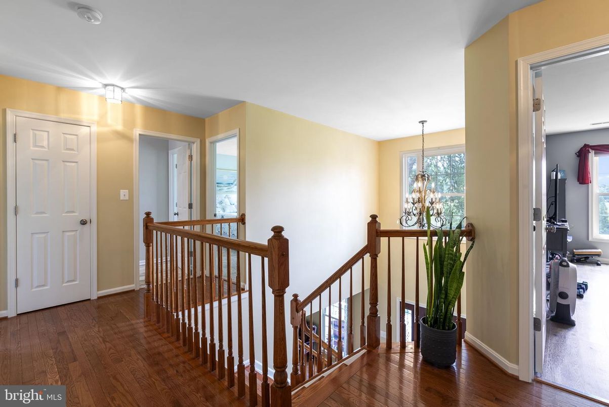Chandelier, Interior, Wood Texture Flooring