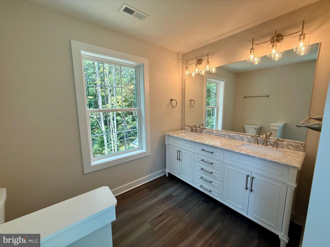 Bathroom, Dual Sink Vanities, Interior, Wood Texture Flooring