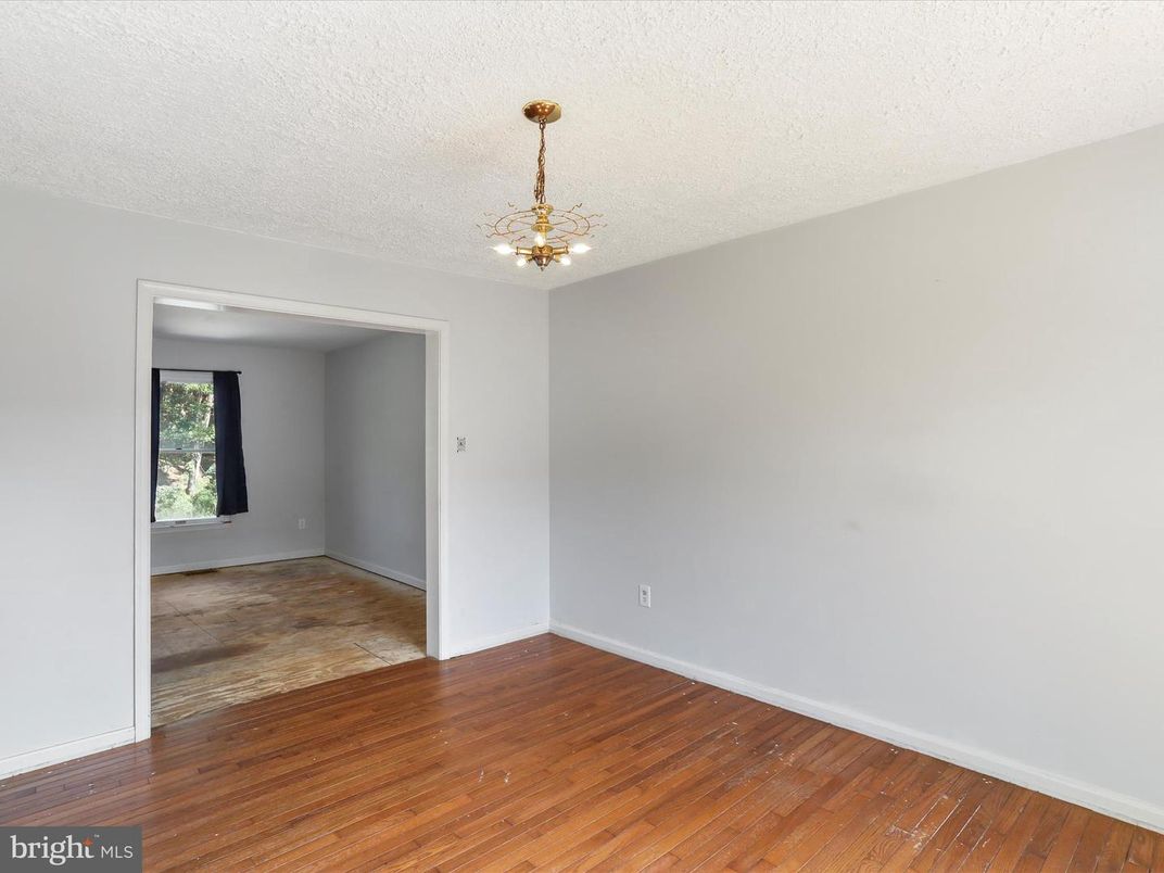 Empty room, Interior, Pendant Lights, Wood Texture Flooring