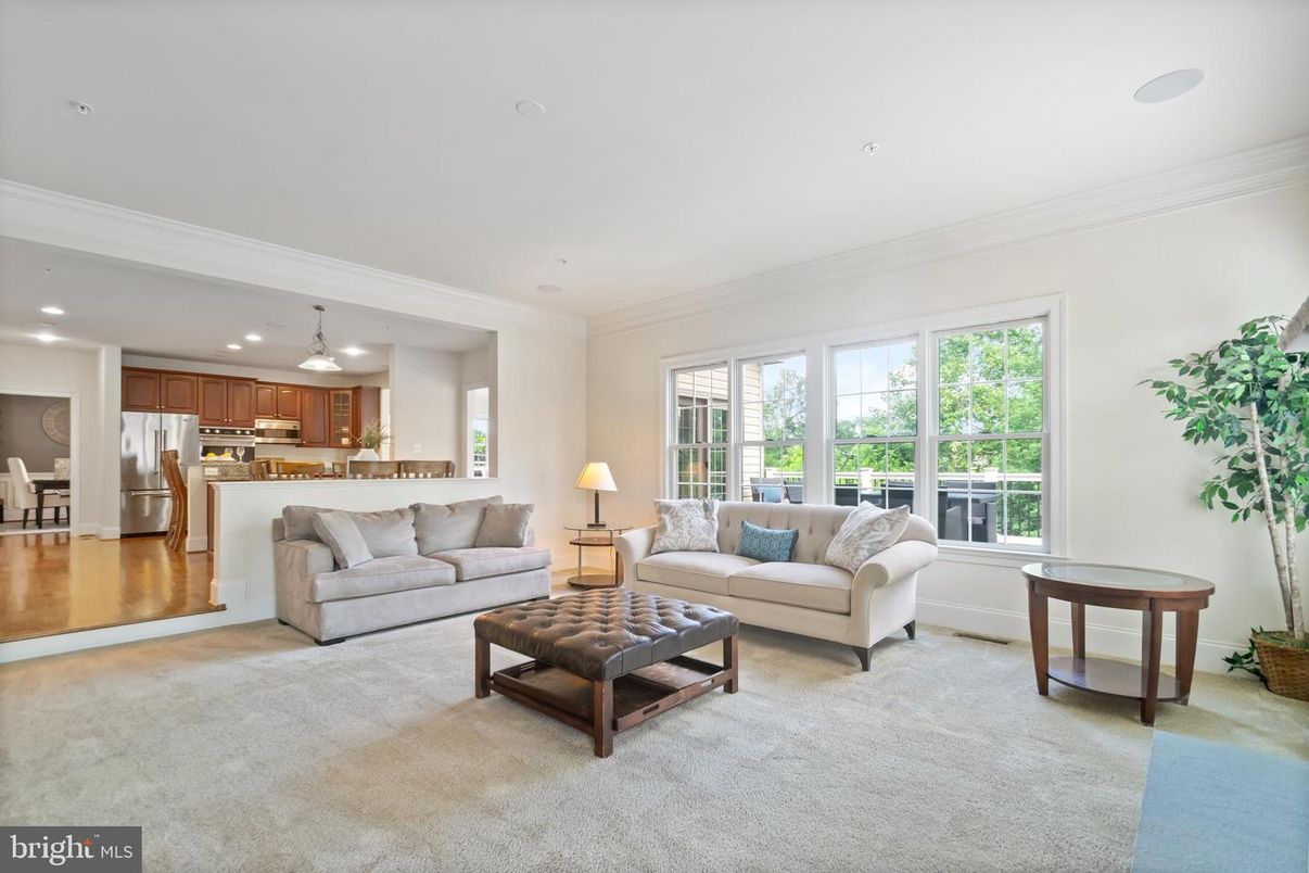 Interior, Kitchen, Living room, Pendant Lights, Recessed Lighting, Stainless Steel Appliances
