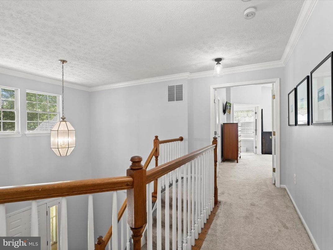 Interior, Pendant Lights
