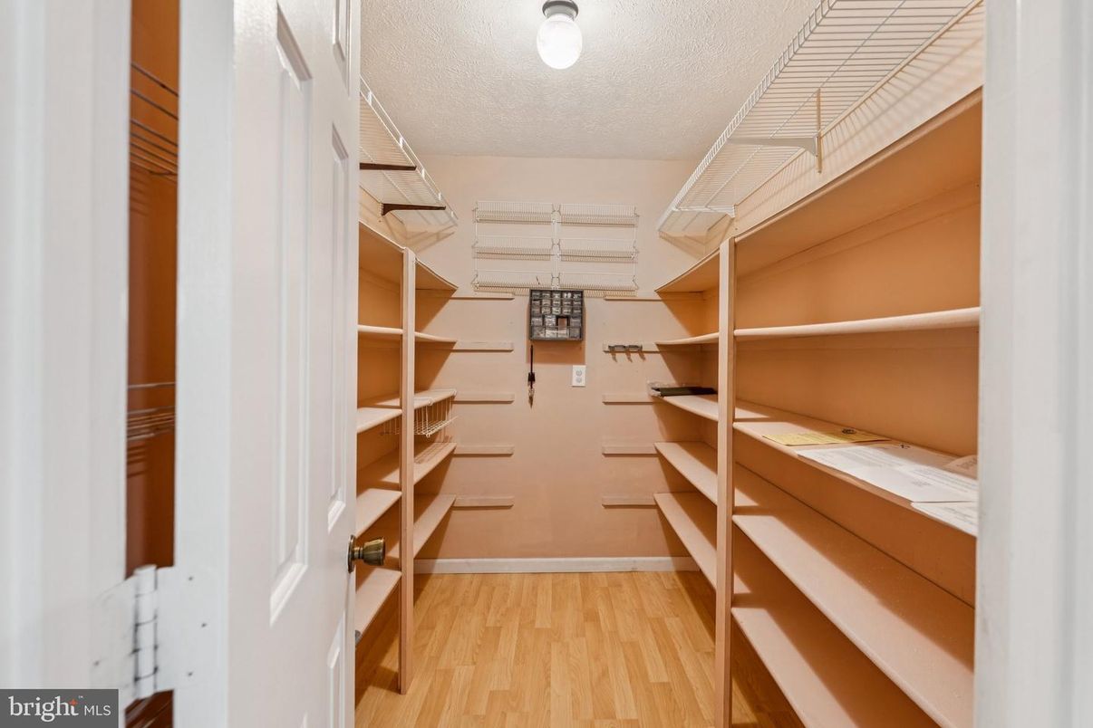 Interior, Walk-in Closets, Wood Texture Flooring