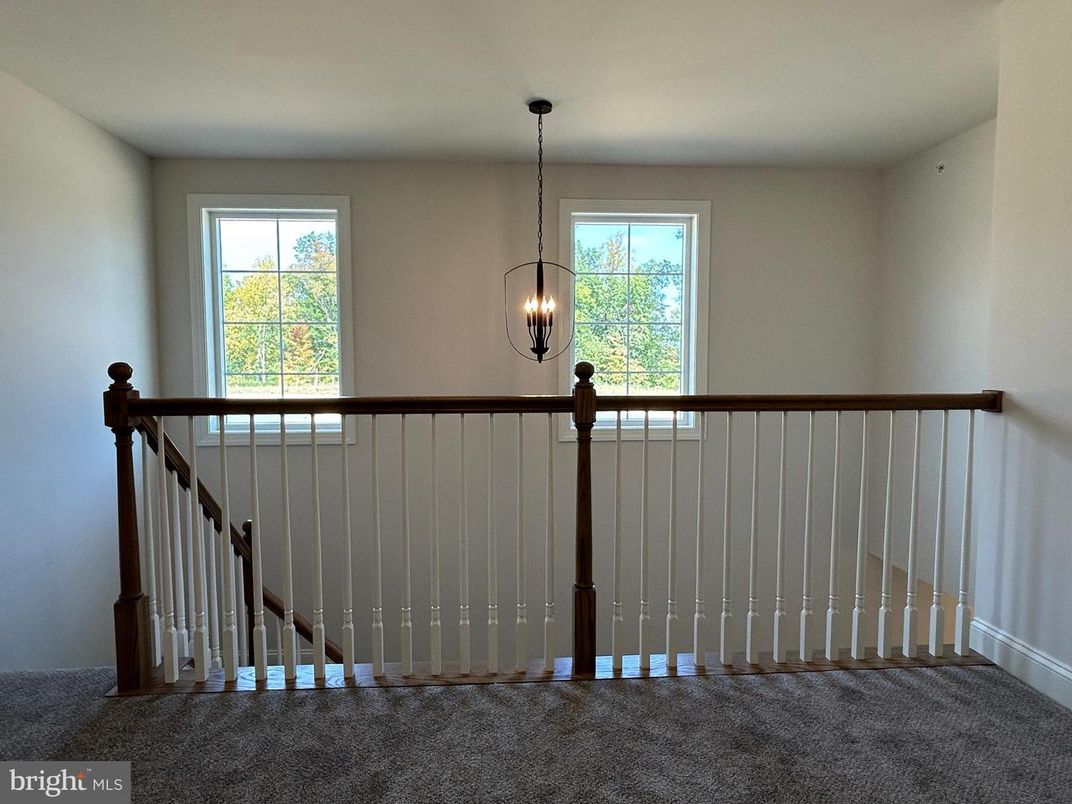 Interior, Pendant Lights
