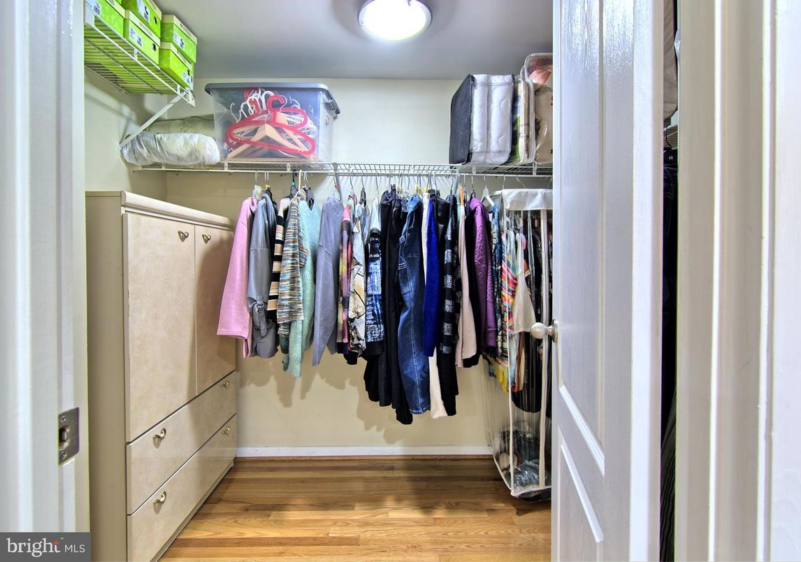 Interior, Walk-in Closets, Wood Texture Flooring