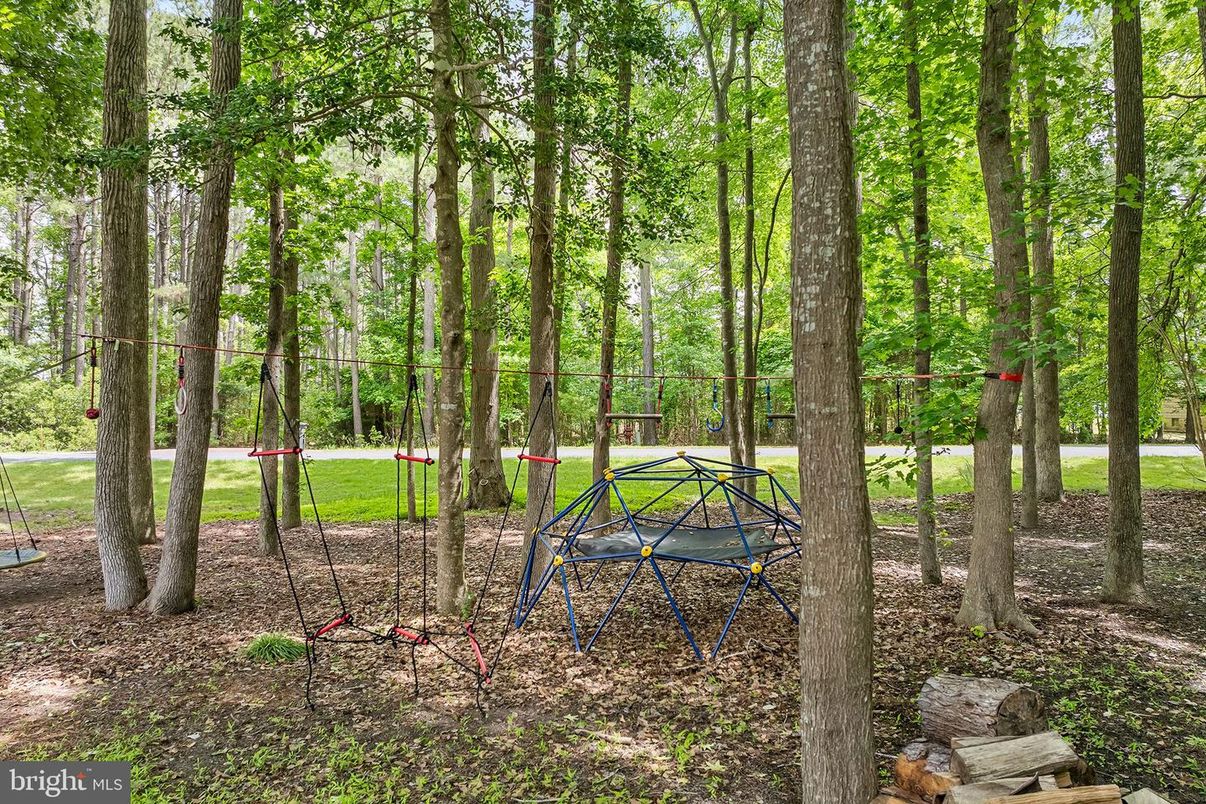 Backyard, Exterior, Playground