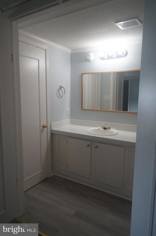 Bathroom, Dual Sink Vanities, Interior, Wood Texture Flooring