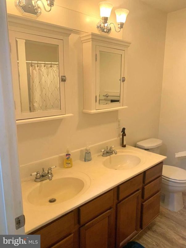 Bathroom, Dual Sink Vanities, Interior, Wood Texture Flooring