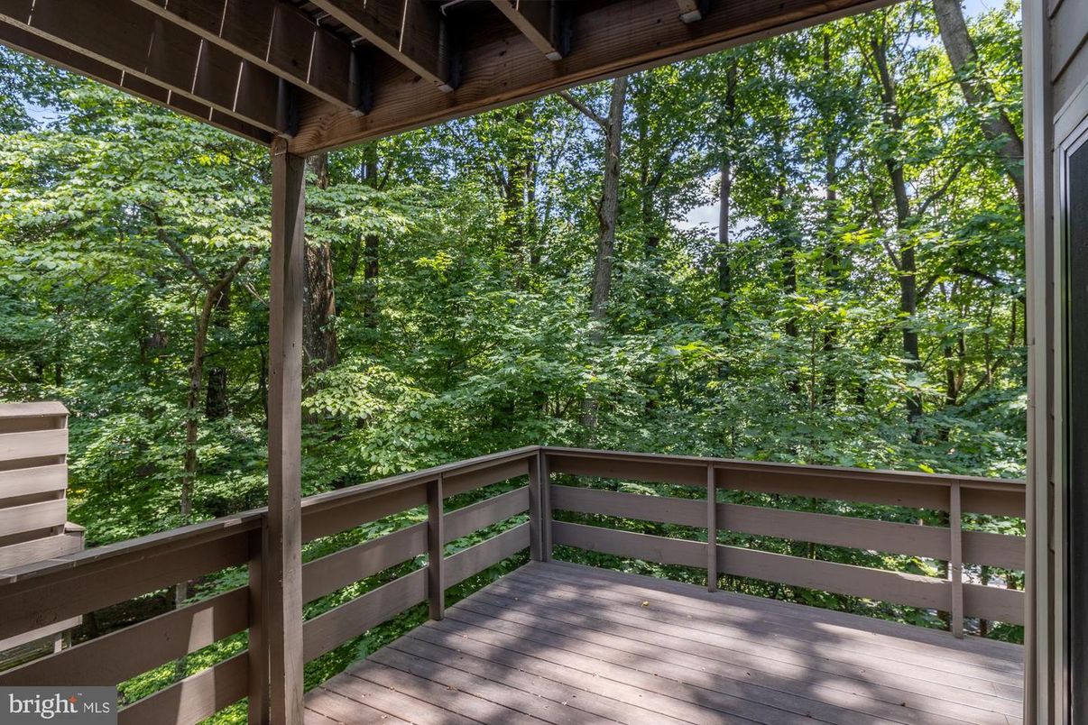 Exterior, Wood Texture Flooring