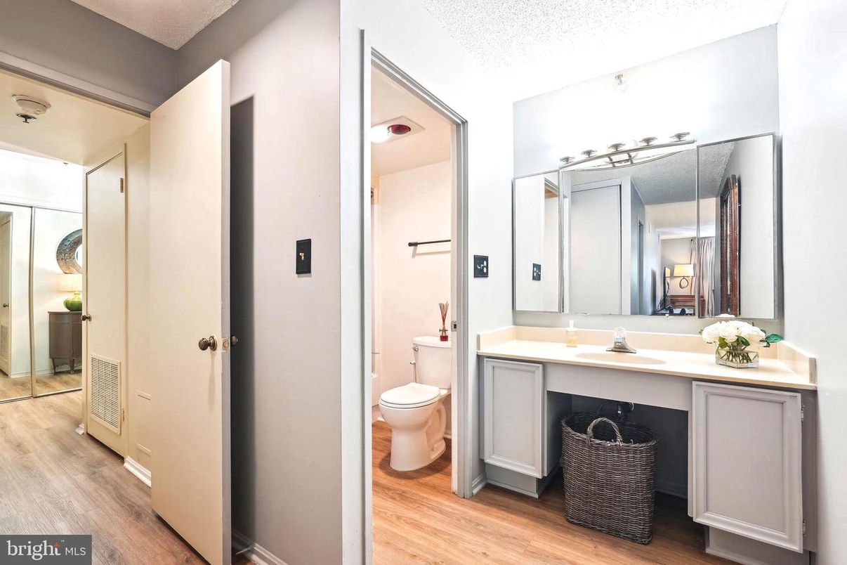 Bathroom, Interior, Wood Texture Flooring