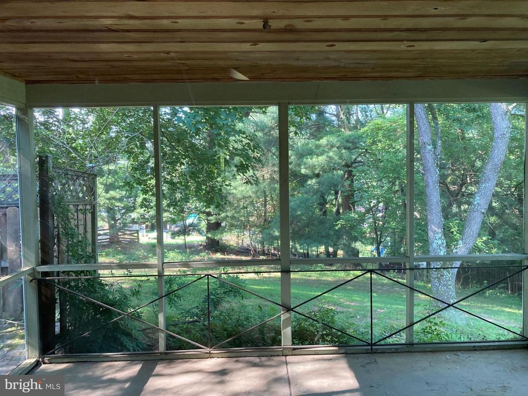 Interior, Sun Room, Wooden Ceilings