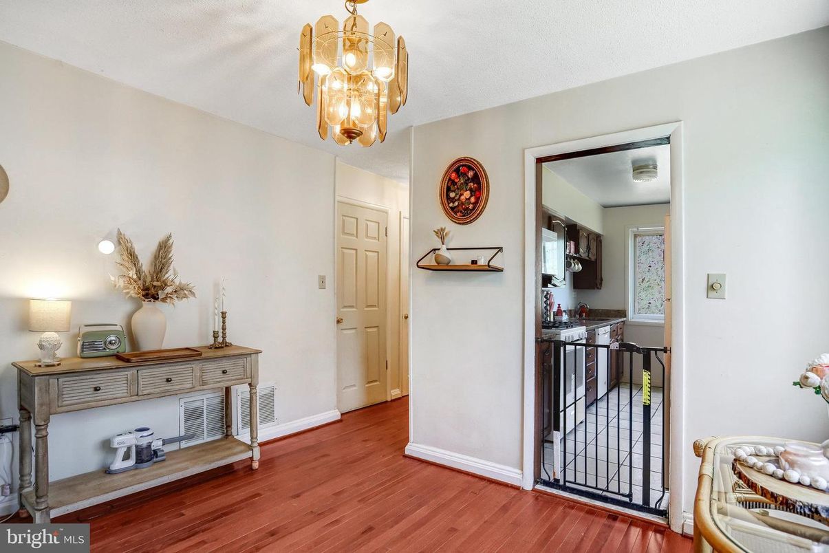 Chandelier, Interior, Wood Texture Flooring