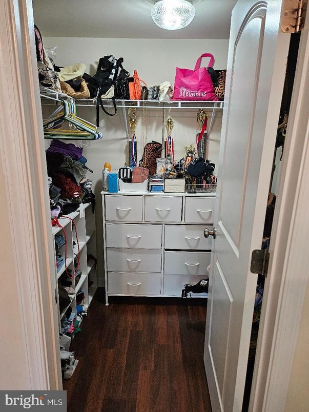 Interior, Walk-in Closets, Wood Texture Flooring