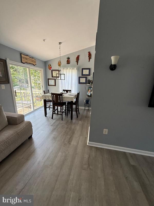 Dining room, Interior, Pendant Lights, Wood Texture Flooring