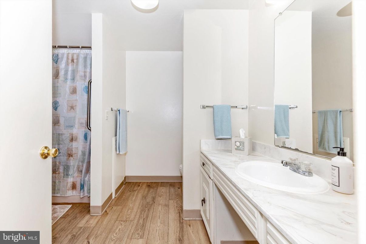 Bathroom, Interior, Wood Texture Flooring