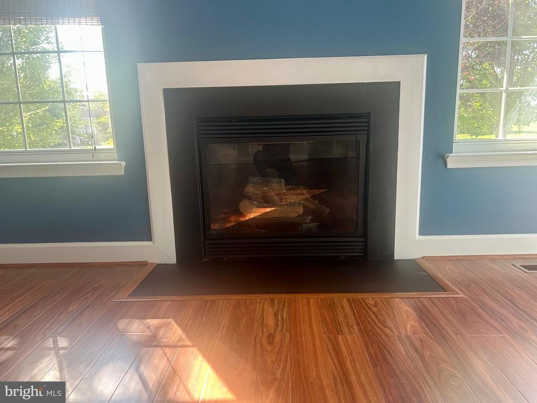 Fireplace, Interior, Wood Texture Flooring