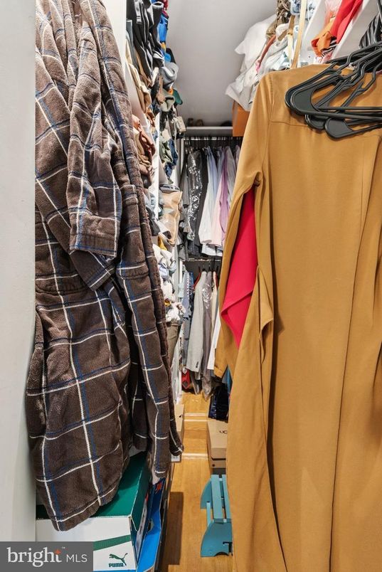Interior, Walk-in Closets, Wood Texture Flooring