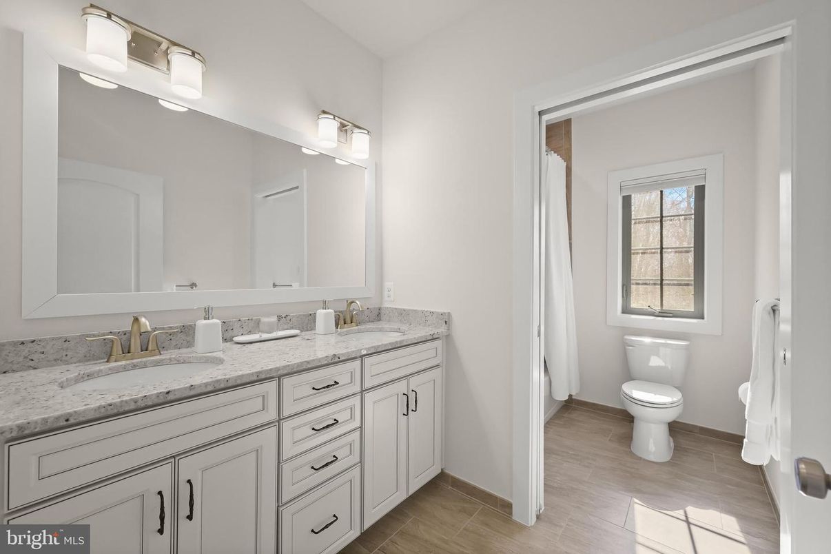 Bathroom, Dual Sink Vanities, Interior, Wood Texture Flooring