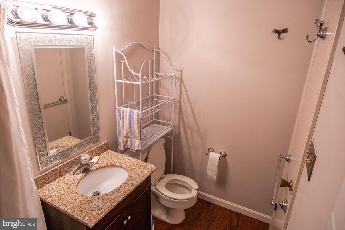 Bathroom, Interior, Wood Texture Flooring