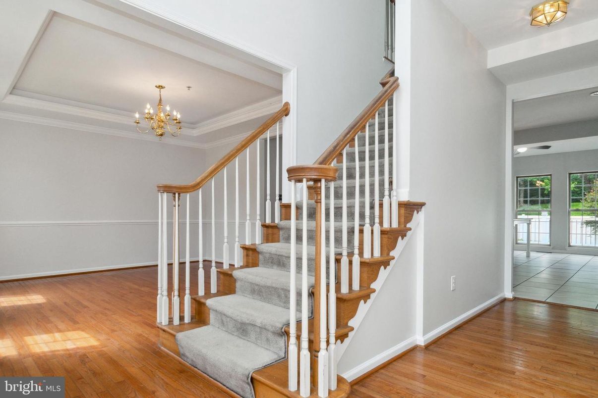 Chandelier, Interior, Wood Texture Flooring