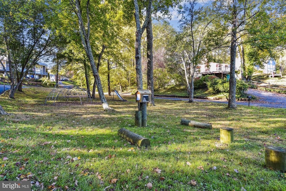 Backyard, Exterior, Playground