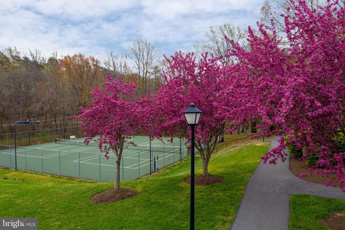 Exterior, Tennis Courts