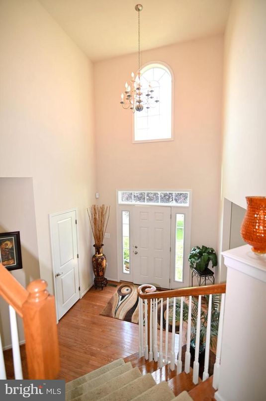 Chandelier, Interior, Wood Texture Flooring